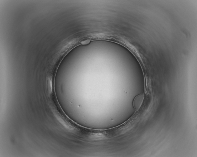 X0000112860061200908281612
