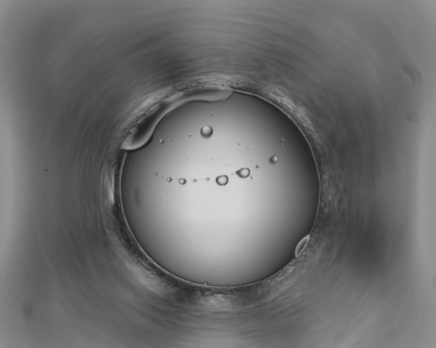X0000112860062200908281612
