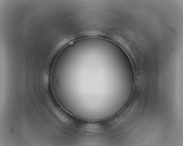 X0000112860063200908281612