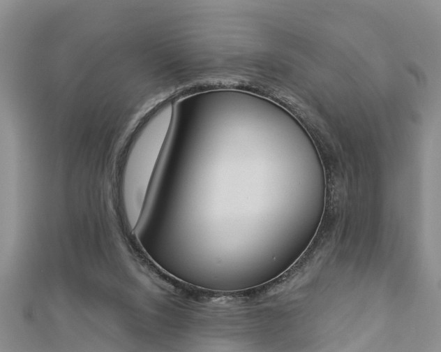 X0000112860064200908281612