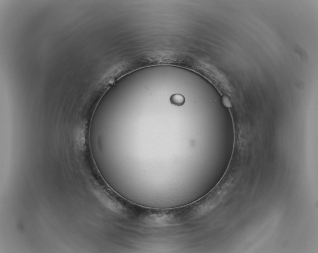X0000112860065200908281612