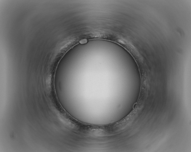 X0000112860066200908281612