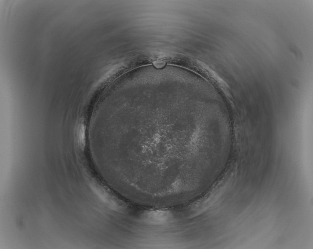 X0000112860067200908281612