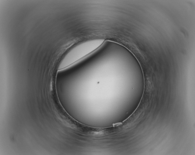 X0000112860068200908281612