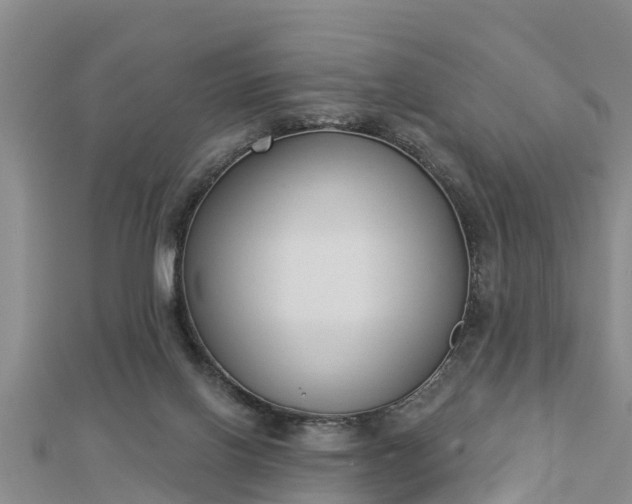X0000112860070200908281612
