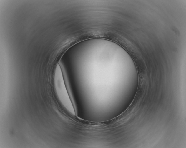 X0000112860072200908281613