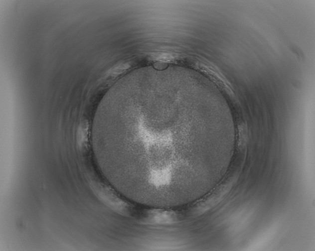 X0000112860073200908281613