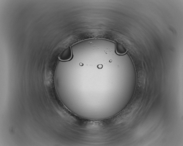 X0000112860077200908281613