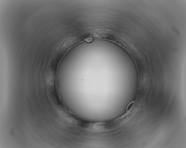 X0000112860078200908281613