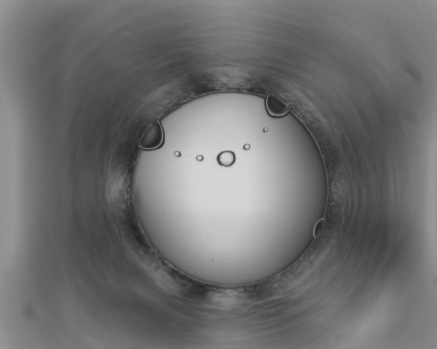 X0000112860079200908281613