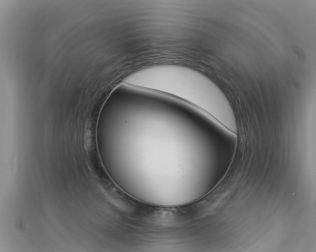 X0000112860080200908281613