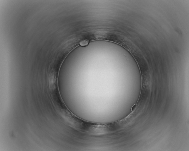 X0000112860082200908281613