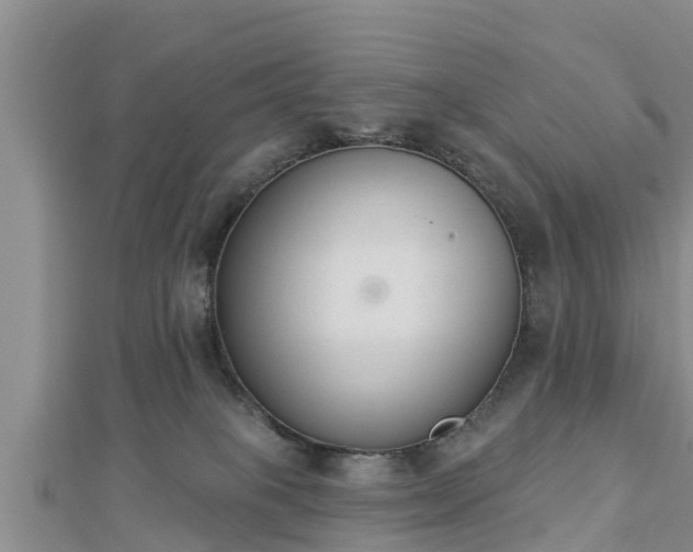 X0000112860085200908281613