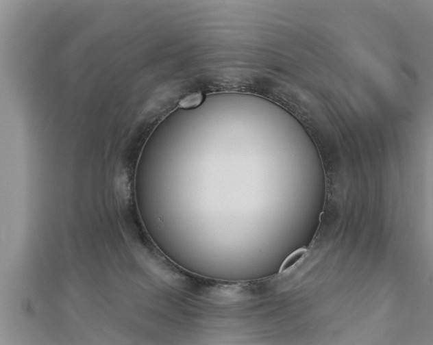 X0000112860086200908281613