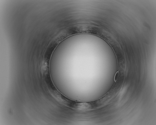 X0000112860087200908281613