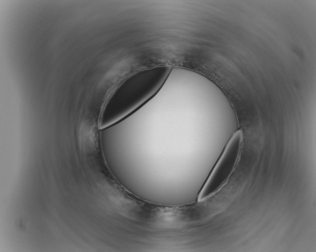 X0000112860088200908281613