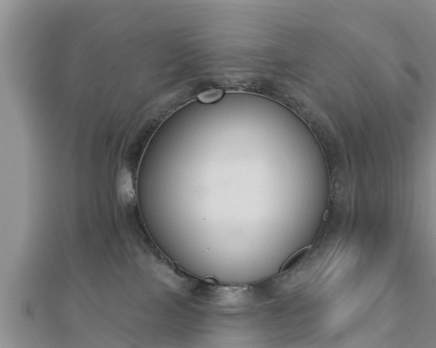 X0000112860089200908281613