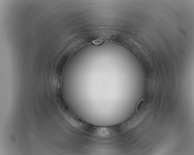 X0000112860091200908281613