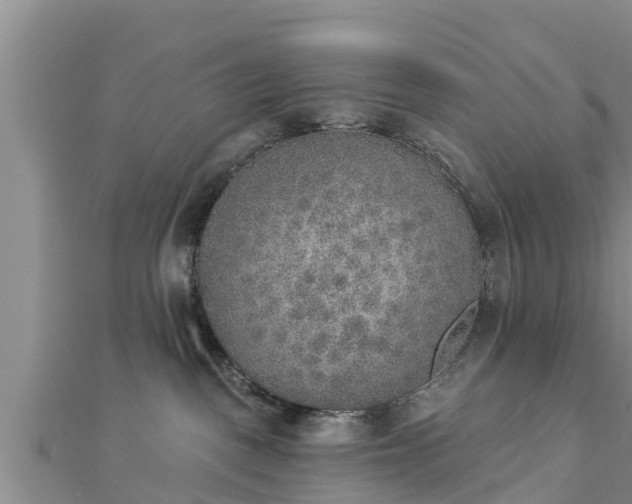 X0000112860093200908281613