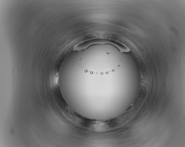 X0000112860095200908281613