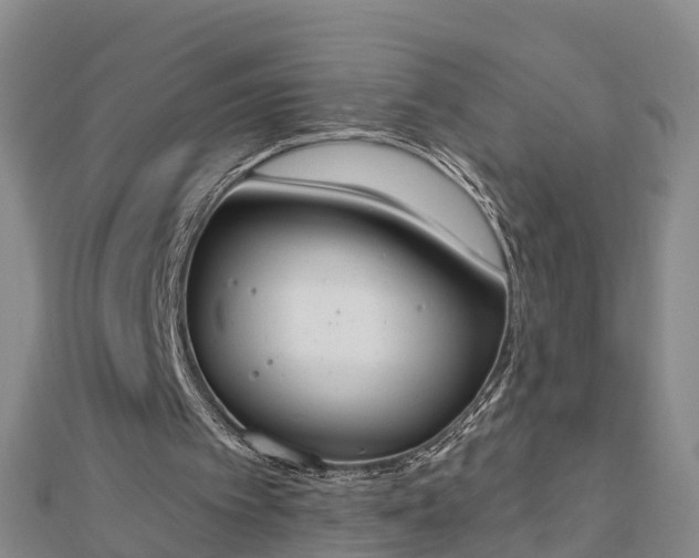 X0000112860097200908281612