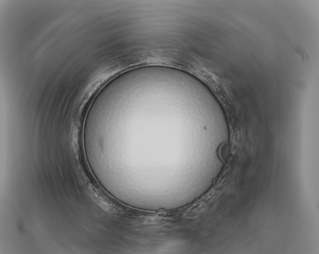 X0000112860098200908281612