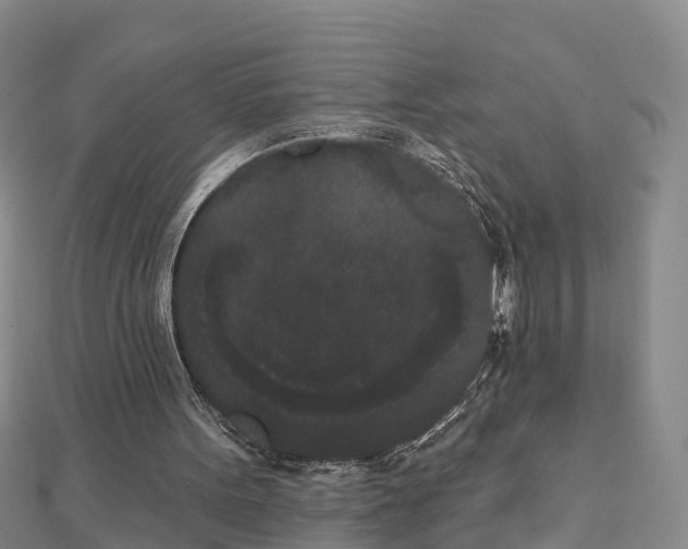 X0000112860099200908281612