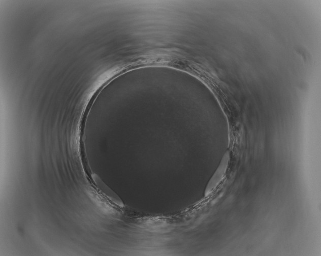 X0000112860100200908281612