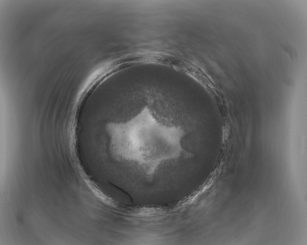 X0000112860101200908281612