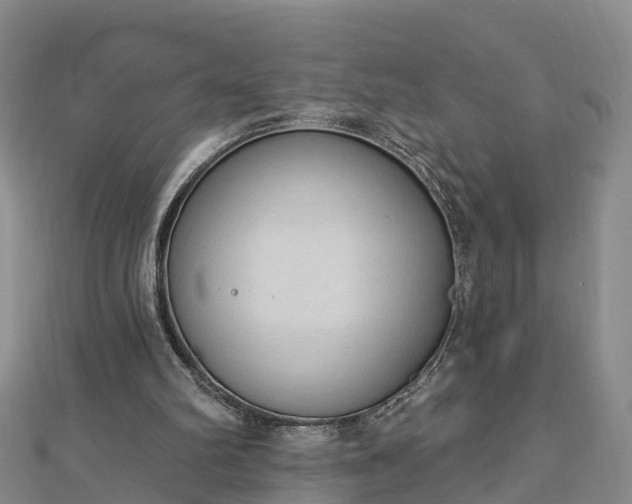 X0000112860102200908281612