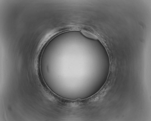 X0000112860103200908281612