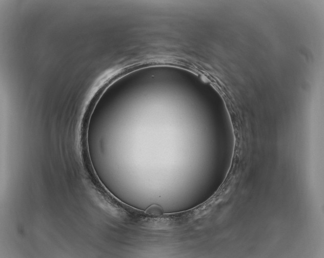 X0000112860104200908281612