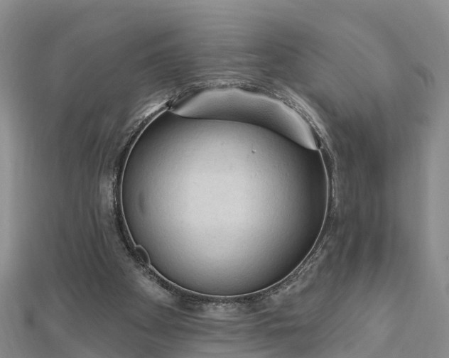 X0000112860105200908281612