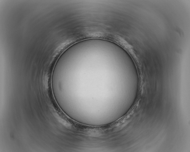 X0000112860106200908281612