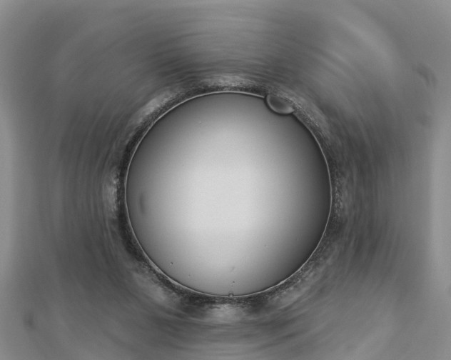 X0000112860111200908281612