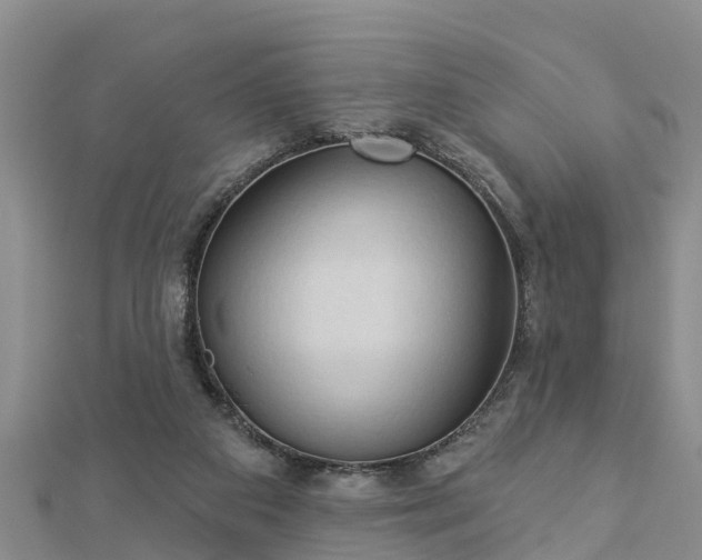 X0000112860113200908281612