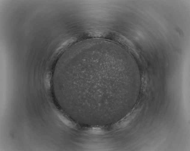 X0000112860114200908281612