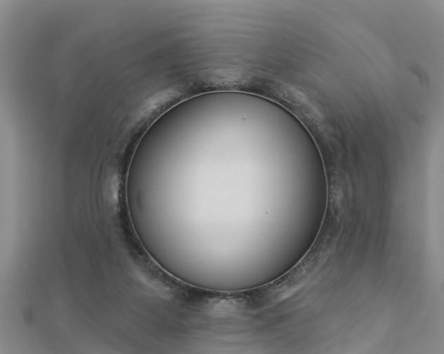X0000112860115200908281612