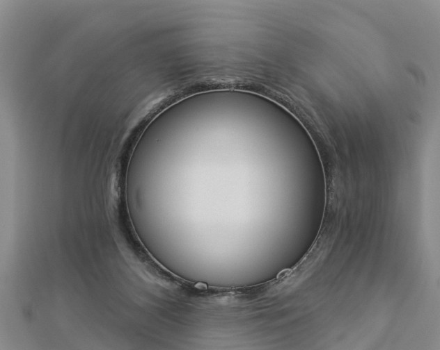 X0000112860116200908281612