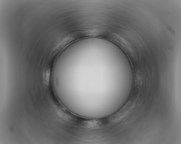 X0000112860118200908281612