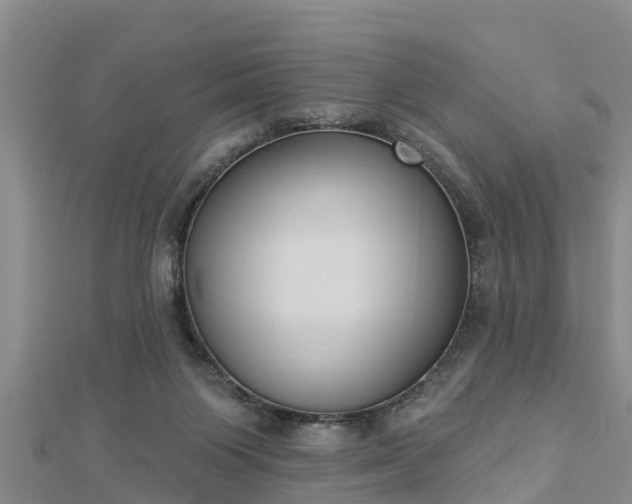X0000112860119200908281612