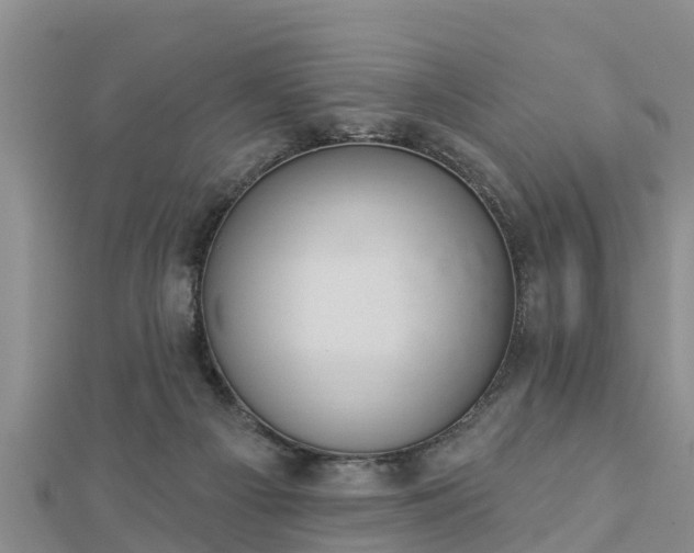 X0000112860121200908281612