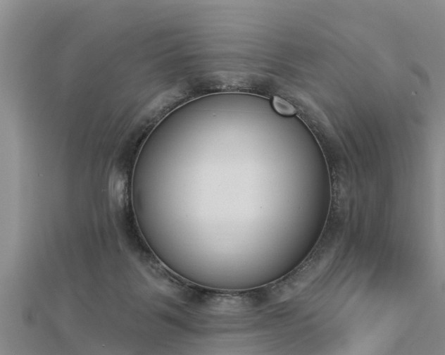 X0000112860123200908281612