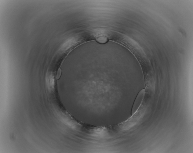 X0000112860124200908281612