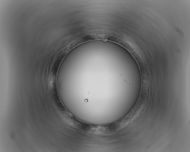 X0000112860125200908281612