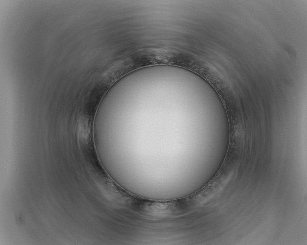 X0000112860129200908281612