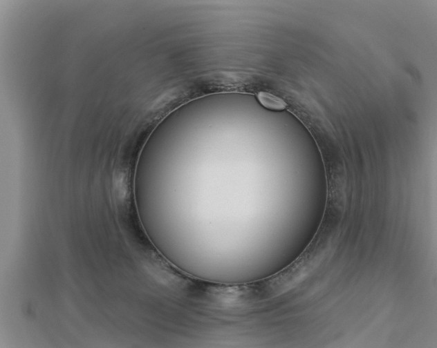 X0000112860131200908281612