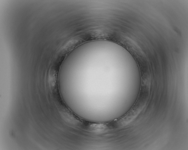 X0000112860133200908281612