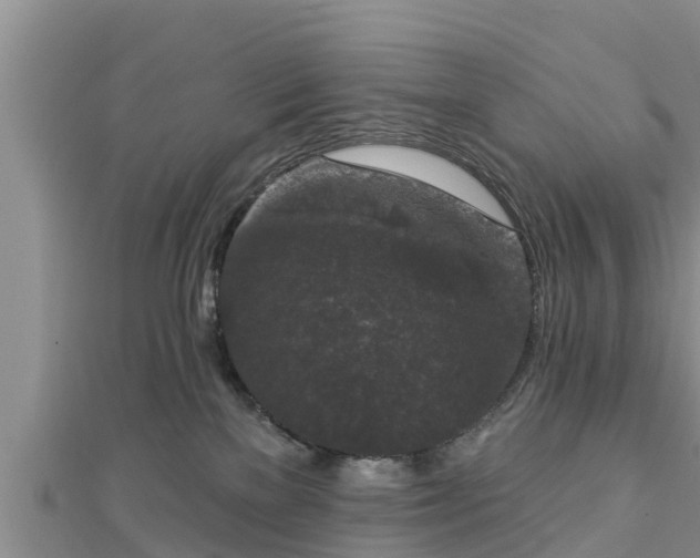 X0000112860137200908281612