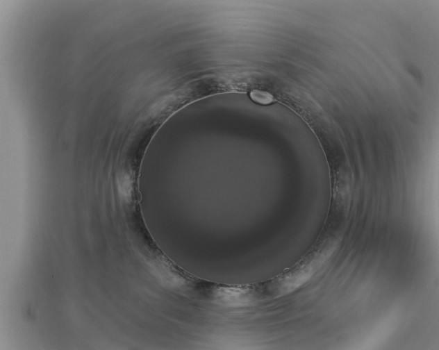 X0000112860139200908281612